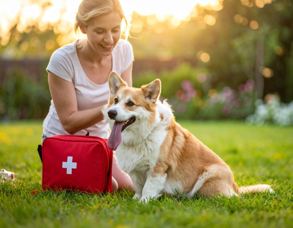 formation secourisme canin dans un jardin